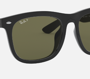 Ray-Ban RB4202D